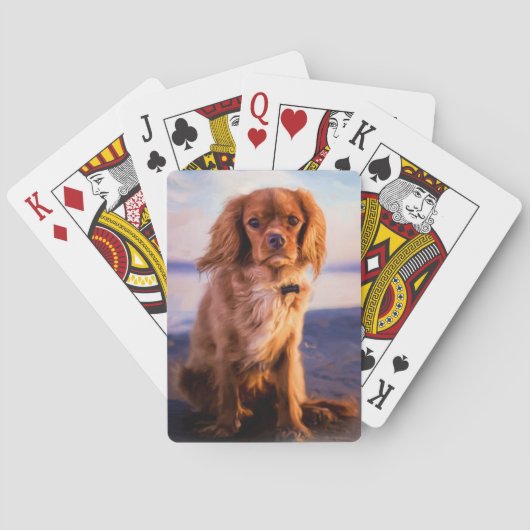 Ruby Cavalier King Charles Spaniel in de zonsonder Pokerkaarten (Achterkant)