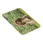 Ruby Cavalier King Charles Spaniel in het gras Magneet (Rechterzijde)