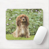 Ruby Cavalier King Charles Spaniel in het gras Muismat (Met muis)