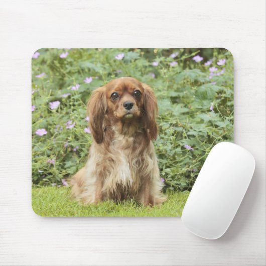 Ruby Cavalier King Charles Spaniel in het gras Muismat (Met muis)