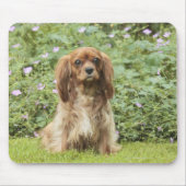Ruby Cavalier King Charles Spaniel in het gras Muismat (Voorkant)