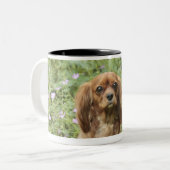 Ruby Cavalier King Charles Spaniel in het gras Tweekleurige Koffiemok (Voorkant links)
