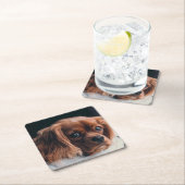 Ruby Cavalier King Charles Spaniel Kartonnen Onderzetters (Insitu)