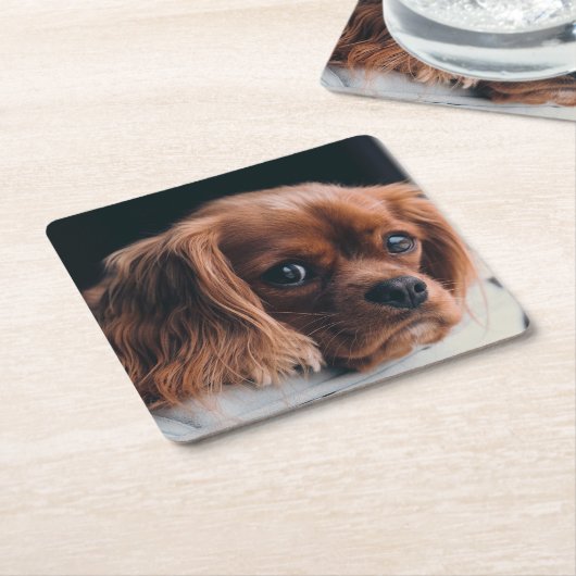 Ruby Cavalier King Charles Spaniel Kartonnen Onderzetters (Schuin)