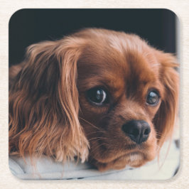 Ruby Cavalier King Charles Spaniel Kartonnen Onderzetters
