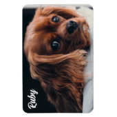 Ruby Cavalier King Charles Spaniel Magneet (Verticaal)