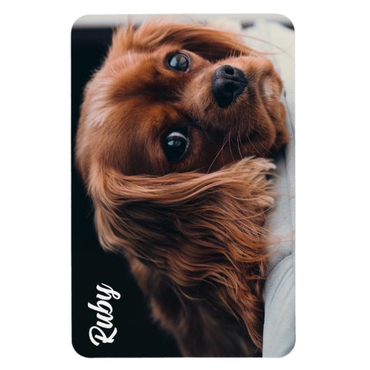 Ruby Cavalier King Charles Spaniel Magneet (Verticaal)