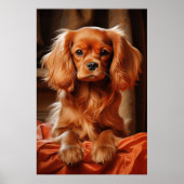 Ruby Cavalier King Charles Spaniel Poster (Voorkant)