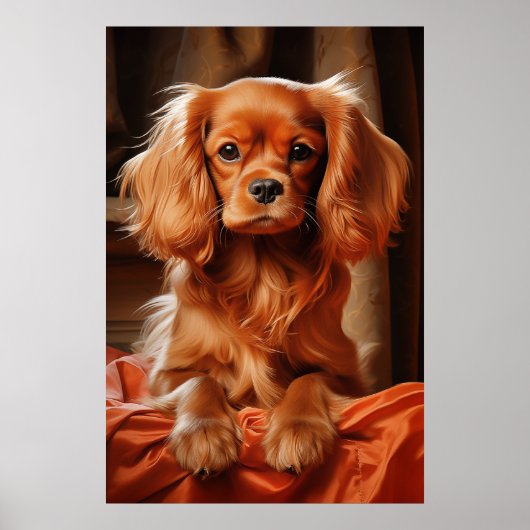 Ruby Cavalier King Charles Spaniel Poster (Voorkant)