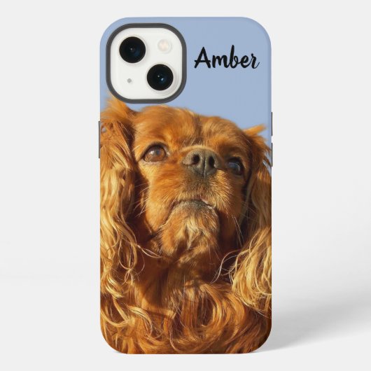 Ruby Cavalier King Charles Spaniel Puppy Dog Blue iPhone Hoesje (Achterkant)