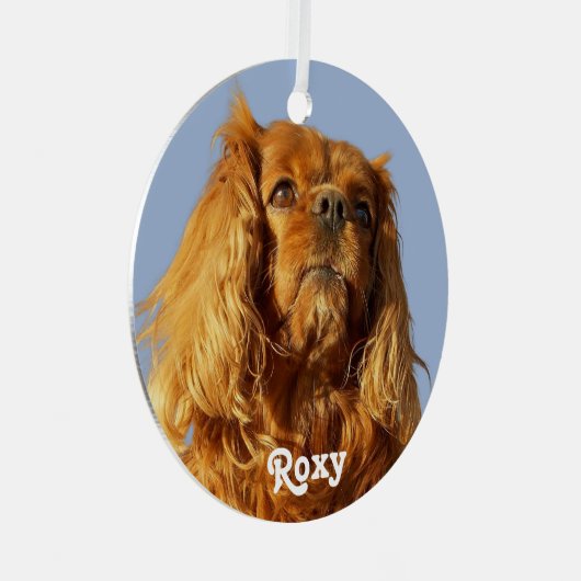Ruby Cavalier King Charles Spaniel Puppy Dog Blue Metalen Ornament (Voorkant Rechts)