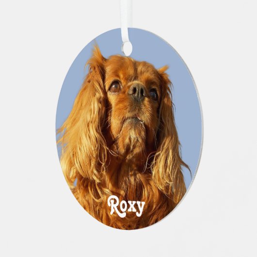 Ruby Cavalier King Charles Spaniel Puppy Dog Blue Metalen Ornament (Voorkant links)