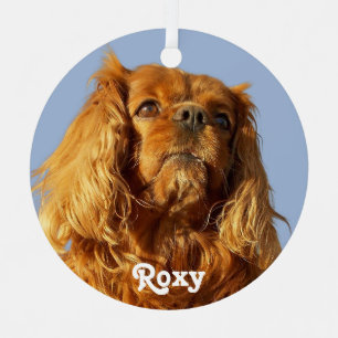 Ruby Cavalier King Charles Spaniel Puppy Dog Blue Metalen Ornament