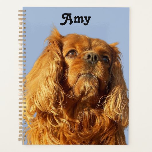 Ruby Cavalier King Charles Spaniel Puppy Dog Blue Planner (Voorkant)