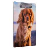 Ruby Cavalier King Charles Spaniel Puppy Dog Klembord (Rechts)