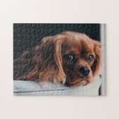 Ruby Cavalier King Charles Spaniel Puppy Dog Legpuzzel (Horizontaal)