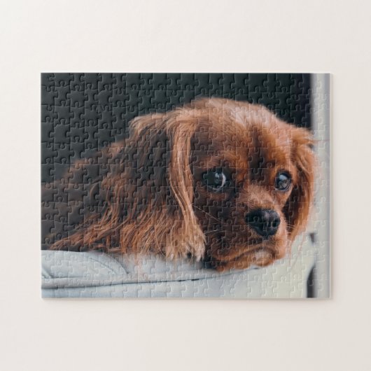 Ruby Cavalier King Charles Spaniel Puppy Dog Legpuzzel (Horizontaal)
