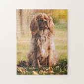 Ruby Cavalier King Charles Spaniel Puppy Dog Legpuzzel (Verticaal)
