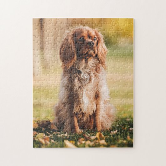 Ruby Cavalier King Charles Spaniel Puppy Dog Legpuzzel (Verticaal)