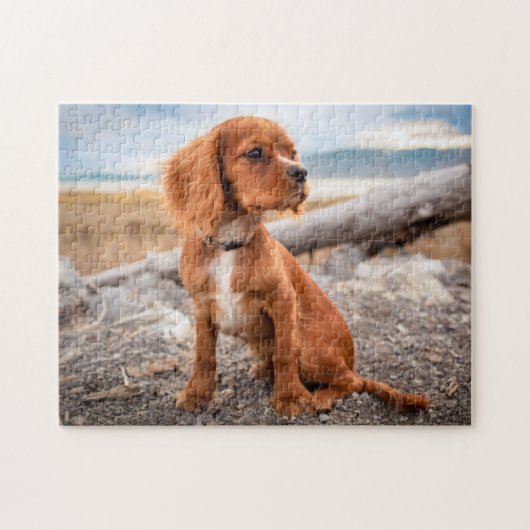 Ruby Cavalier King Charles Spaniel Puppy Dog Legpuzzel (Horizontaal)