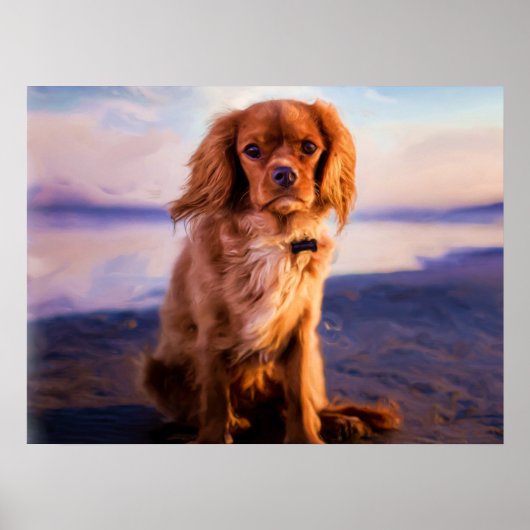 Ruby Cavalier King Charles Spaniel Puppy Dog Poster (Voorkant)