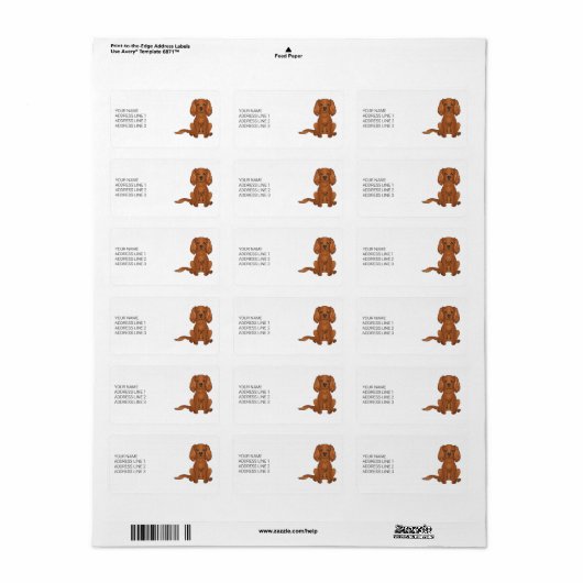 Ruby Cavalier King Charles Spaniel & Tekst Etiket (Full Sheet)