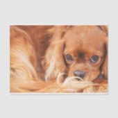 Ruby Cavalier King Charles Spaniel Tissuepapier (Voorkant)