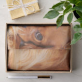 Ruby Cavalier King Charles Spaniel Tissuepapier (Geschenk)