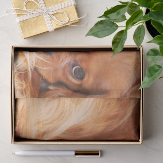 Ruby Cavalier King Charles Spaniel Tissuepapier (Geschenk)