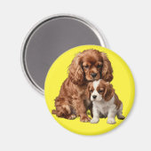 Ruby Cavalier Spaniel en haar Blenheim puppy Magneet (Voorkant / Achterkant)