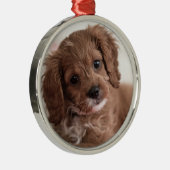 Ruby Cavapoo Puppy Dog Metalen Ornament (Rechts)