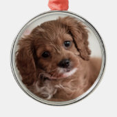 Ruby Cavapoo Puppy Dog Metalen Ornament (Voorkant)