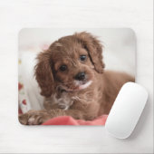 Ruby Cavapoo Puppy Dog Muismat (Met muis)