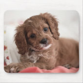 Ruby Cavapoo Puppy Dog Muismat (Voorkant)