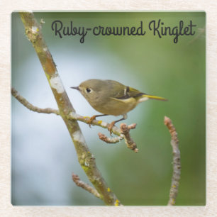 Ruby crowding kinglet glazen onderzetter