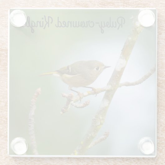 Ruby crowding kinglet glazen onderzetter (Achterkant)