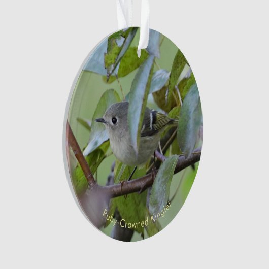 Ruby-crowned Kinglet Bird Ornament with Place Year (voorkant)