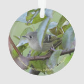 Ruby-crowned Kinglet Bird Ornament with Place Year (achterkant)