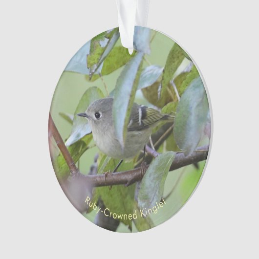 Ruby-crowned Kinglet Bird Ornament with Place Year (voorkant)