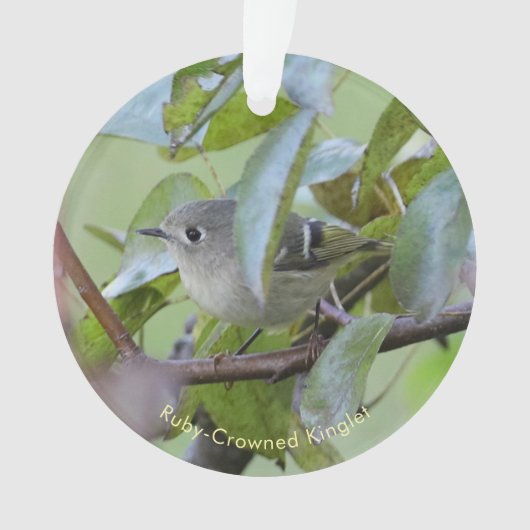 Ruby-crowned Kinglet Bird Ornament with Place Year (voorkant)