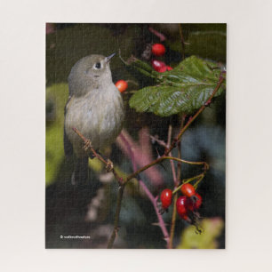 Ruby-Crowned Kinglet Songbird op Hawthorn Struik Legpuzzel