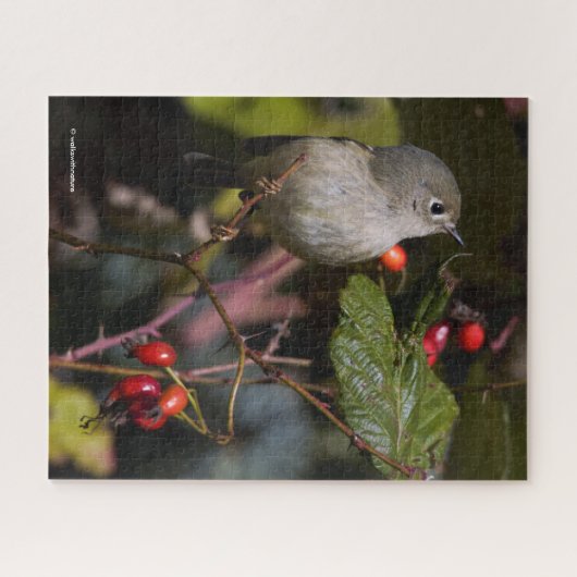 Ruby-Crowned Kinglet Songbird op Hawthorn Struik Legpuzzel (Horizontaal)