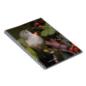 Ruby-Crowned Kinglet Songbird op Hawthorn Struik Notitieboek (Rechterzijde)