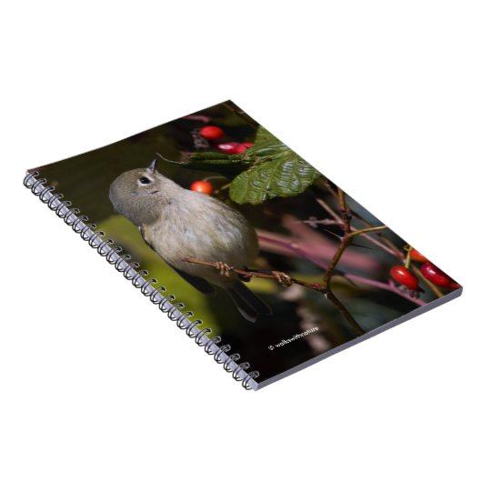 Ruby-Crowned Kinglet Songbird op Hawthorn Struik Notitieboek (Rechterzijde)