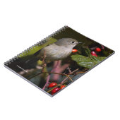 Ruby-Crowned Kinglet Songbird op Hawthorn Struik Notitieboek (Linkerzijde)