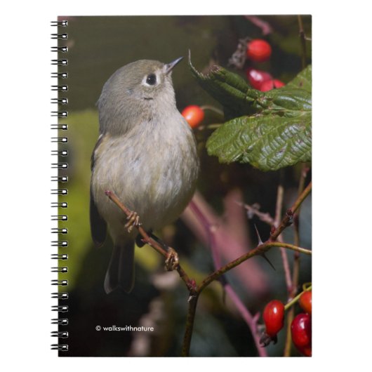 Ruby-Crowned Kinglet Songbird op Hawthorn Struik Notitieboek (Voorkant)