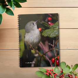 Ruby-Crowned Kinglet Songbird op Hawthorn Struik Notitieboek