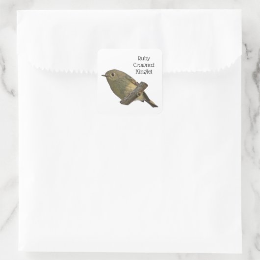 Ruby-Crowned Kinglet Vierkante Sticker (Tas)