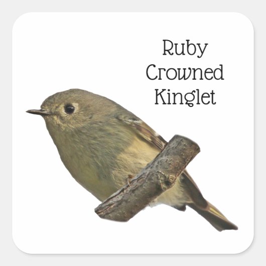 Ruby-Crowned Kinglet Vierkante Sticker (Voorkant)