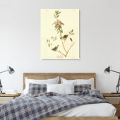 Ruby crowned Wren (Kinglet) Audubon Birds America Canvas Afdruk (Insitu (Slaapkamer))